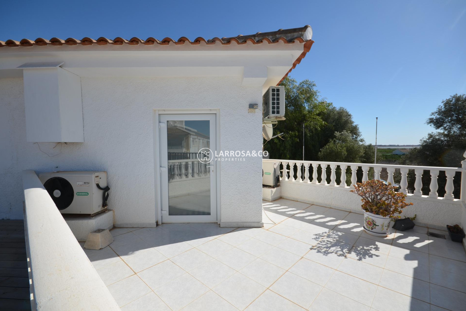 Long Term Rentals - Business - Ciudad Quesada - Lo pepin