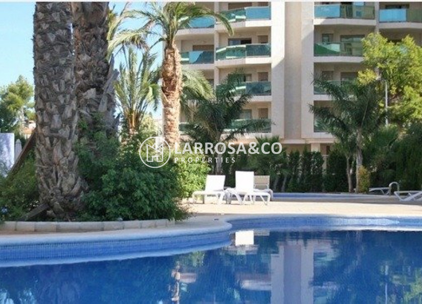 New build - Apartment - Calpe - Calalga