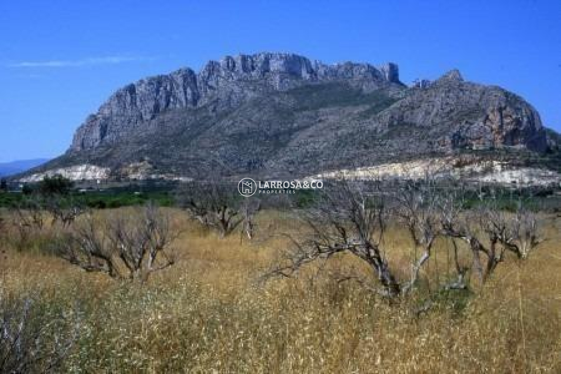 New build - Apartment - El Verger - Playa de La Almadraba