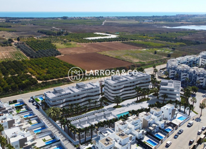 New build - Apartment - Guardamar del Segura - El Raso