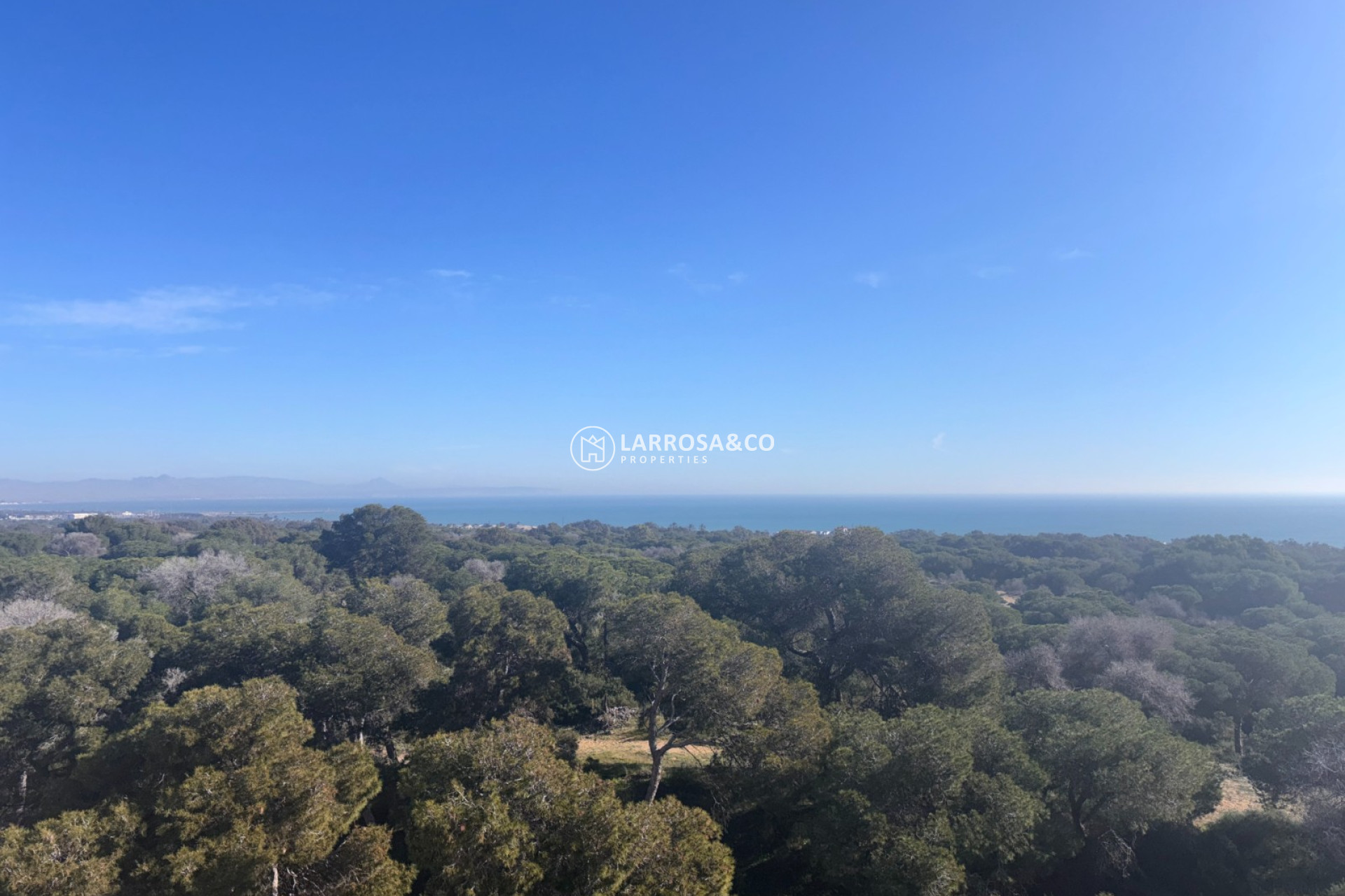 New build - Apartment - Guardamar del Segura