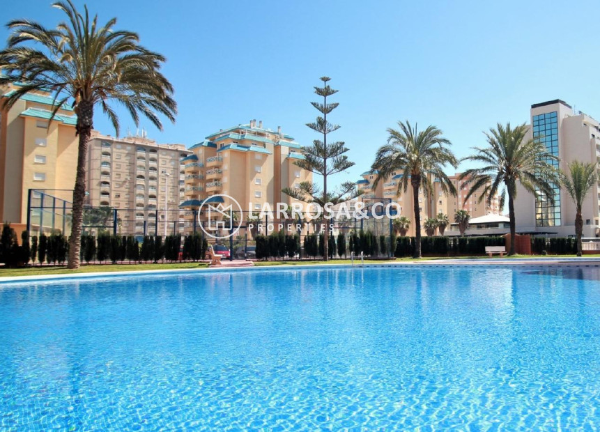 New build - Apartment - La Manga del Mar Menor - La Manga Del Mar Menor