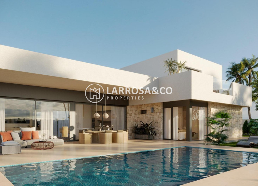 New build - Detached House/Villa - Aspe - Poligono 19