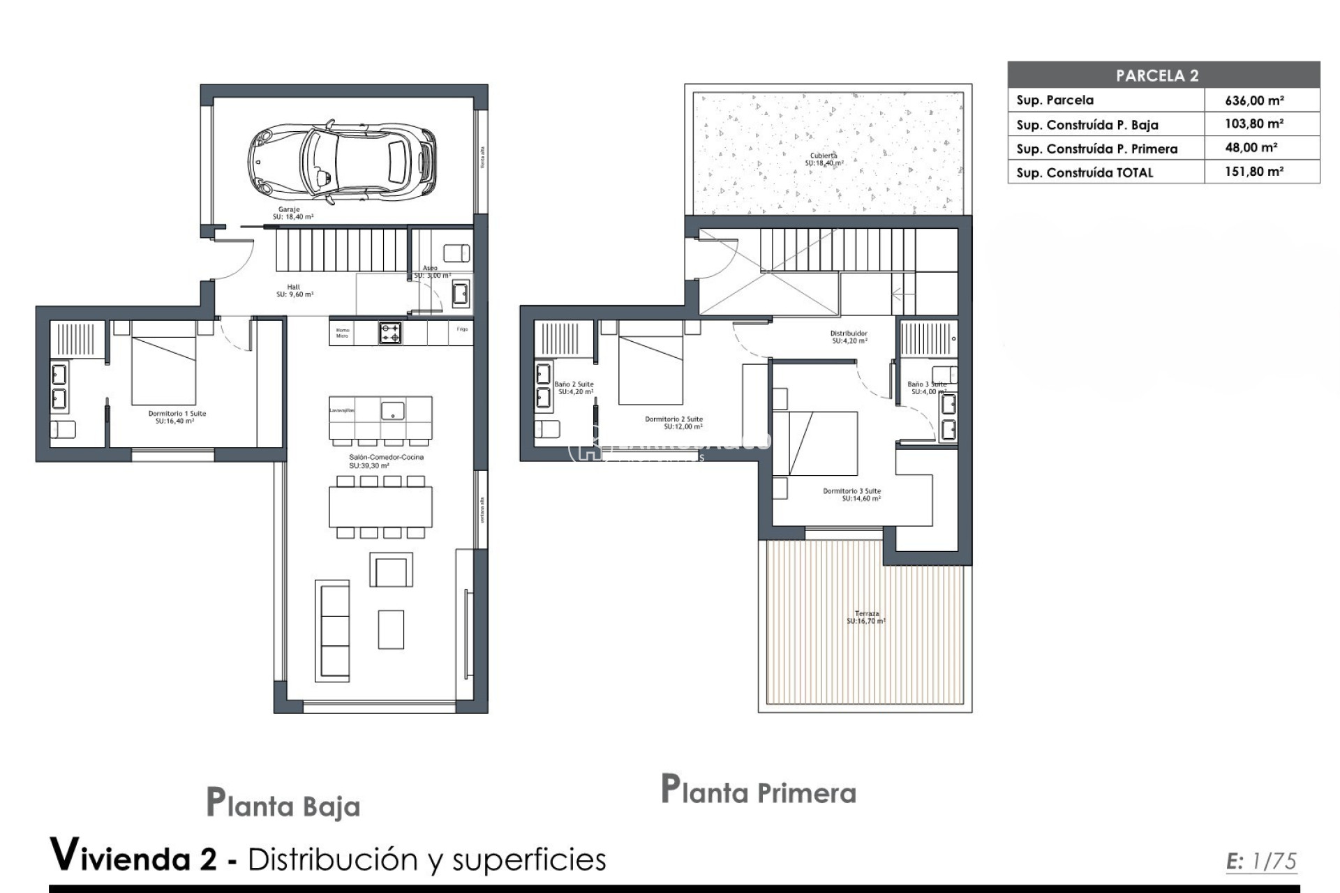 New build - Detached House/Villa - Ciudad Quesada - Golf La Marquesa (Ciudad Quesada)