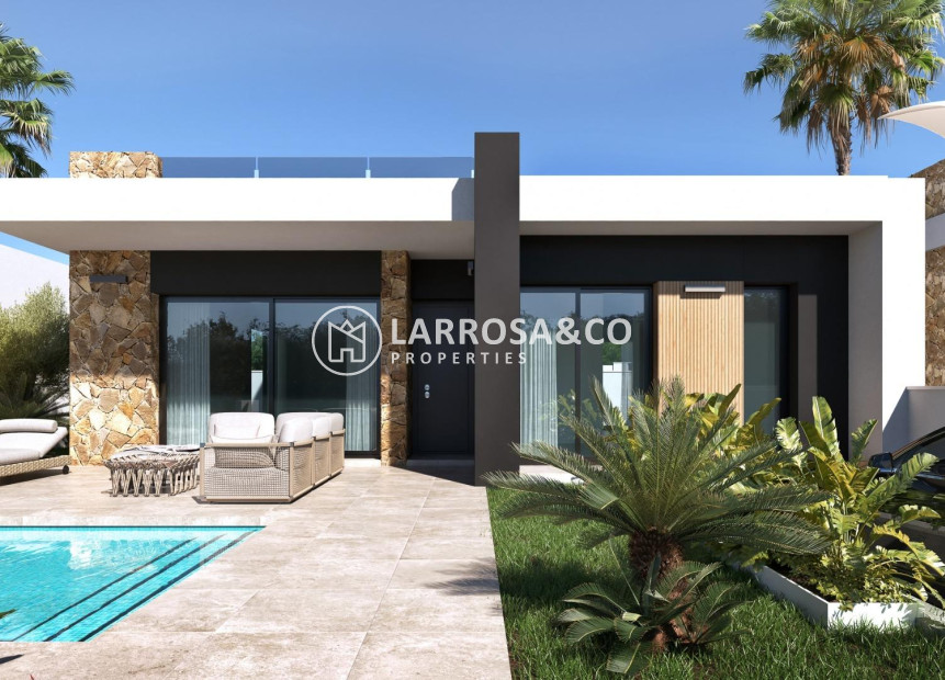 New build - Detached House/Villa - Ciudad Quesada - Lo marabú