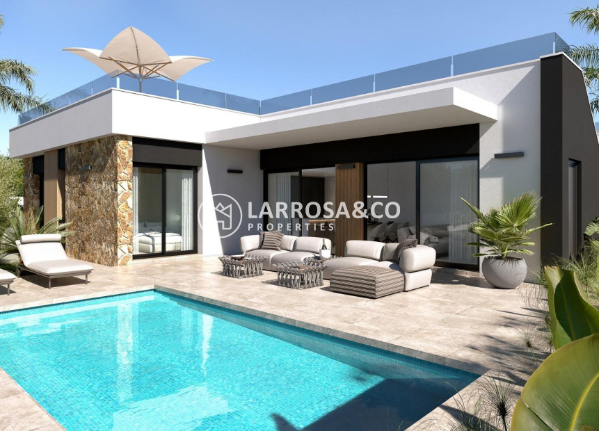 New build - Detached House/Villa - Ciudad Quesada - Lo marabú