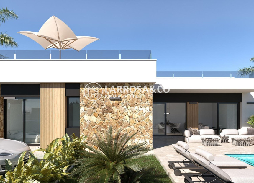 New build - Detached House/Villa - Ciudad Quesada - Lo marabú