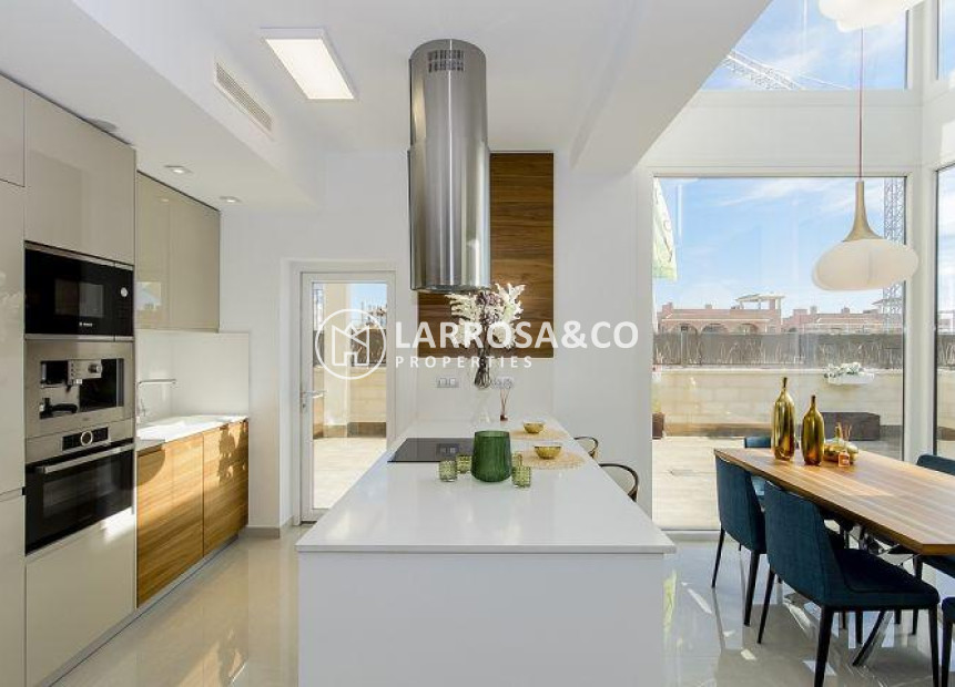 New build - Detached House/Villa - Ciudad Quesada