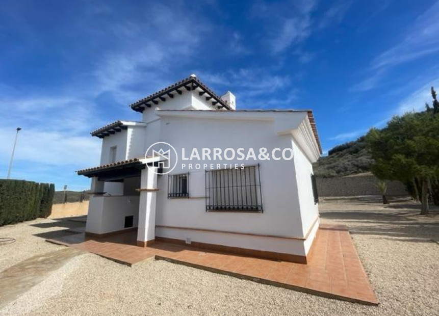 New build - Detached House/Villa - Fuente Álamo - Las Palas