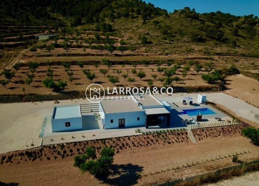 New build - Detached House/Villa - Hondon de las Nieves - La Canalosa