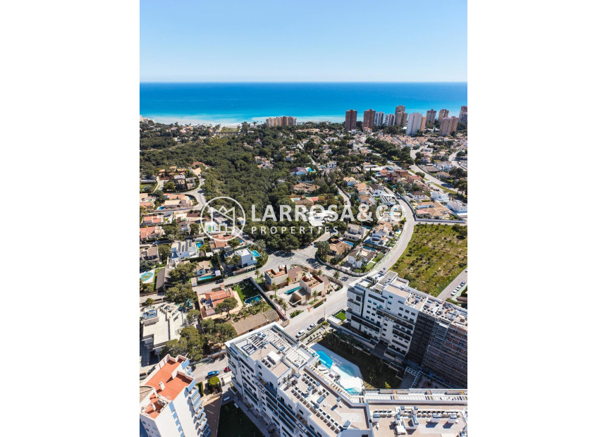 New build - Detached House/Villa - Orihuela costa - Dehesa de Campoamor