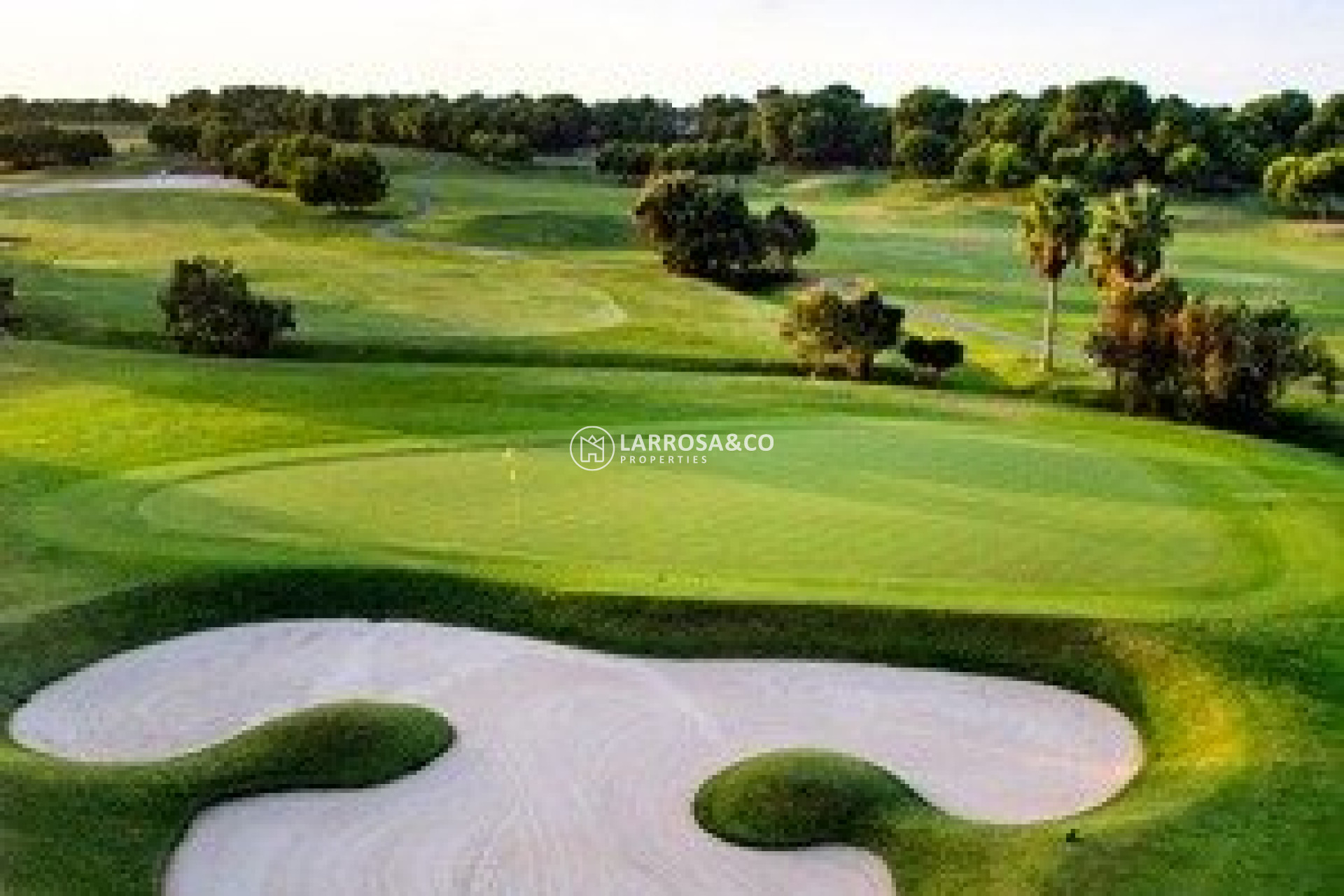 New build - Detached House/Villa - Pilar de la Horadada - Lo Romero Golf