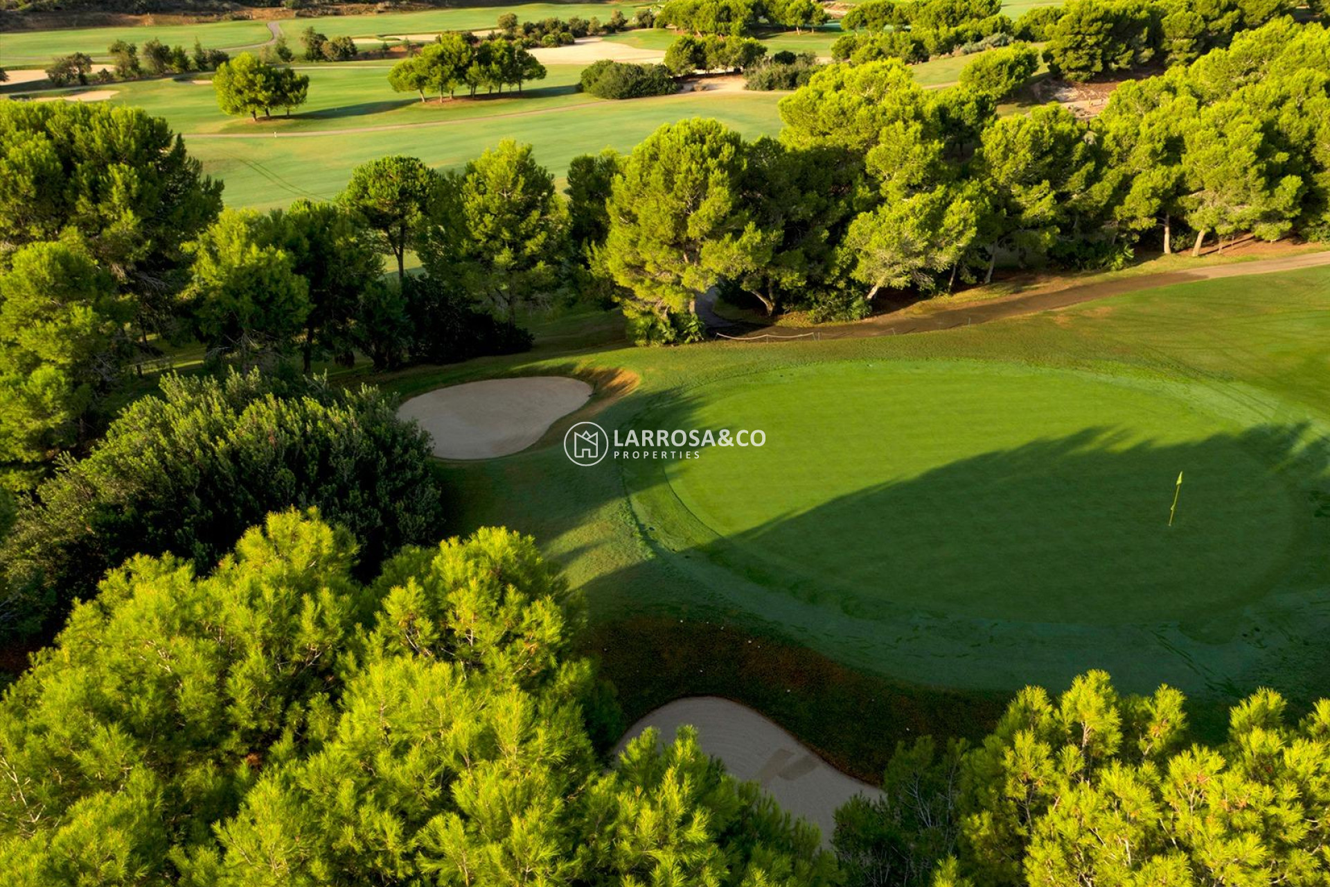 New build - Detached House/Villa - Pilar de la Horadada - Lo Romero Golf