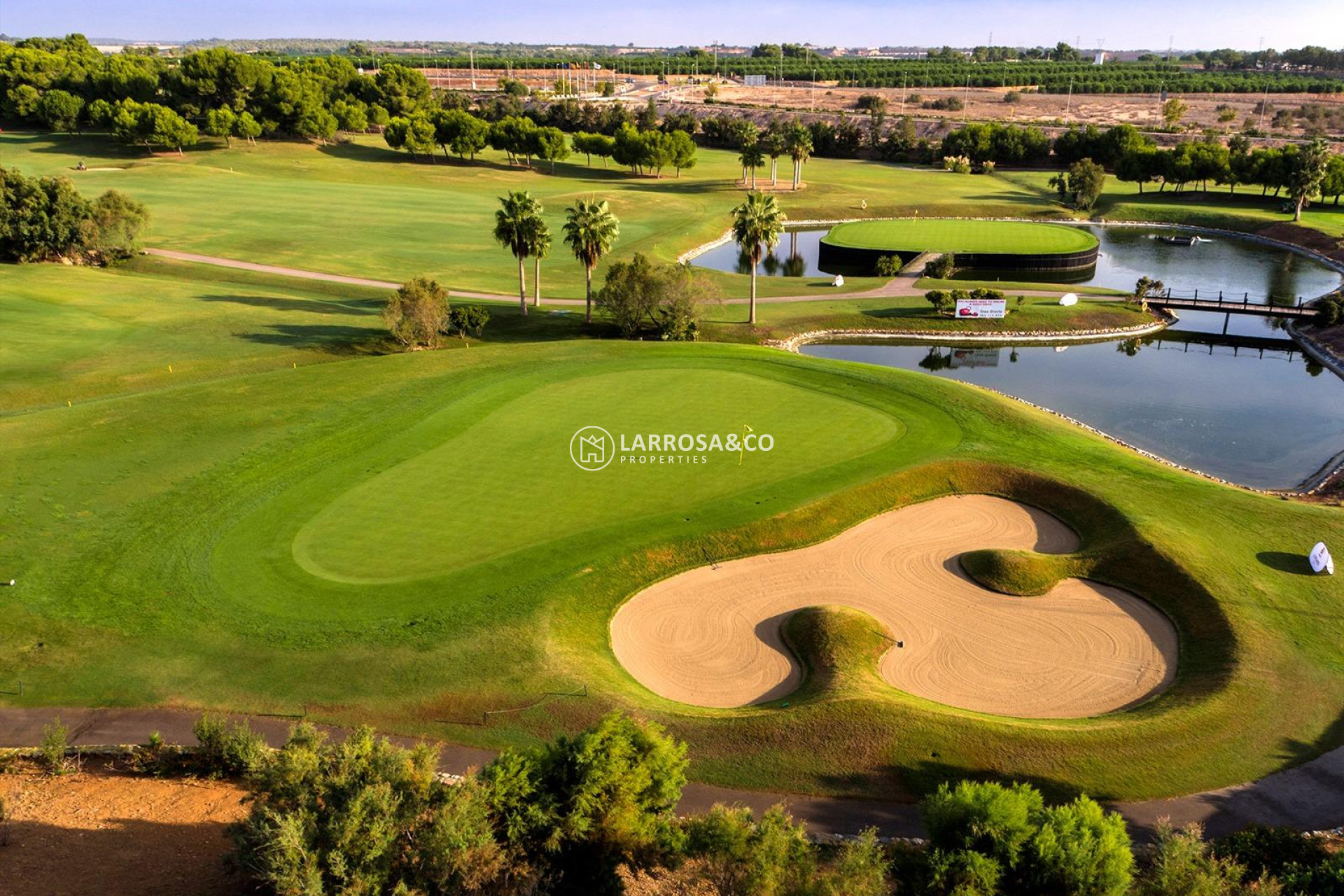 New build - Detached House/Villa - Pilar de la Horadada - Lo Romero Golf