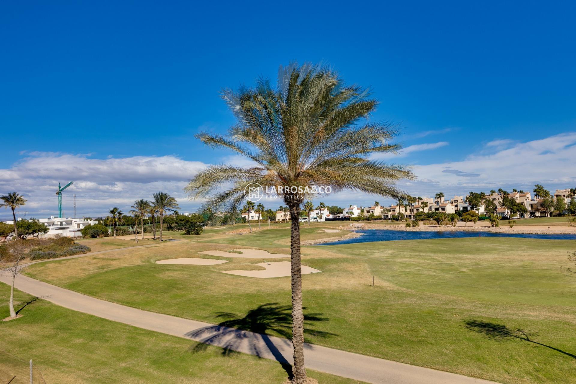New build - Detached House/Villa - Pilar de la Horadada - Lo Romero Golf