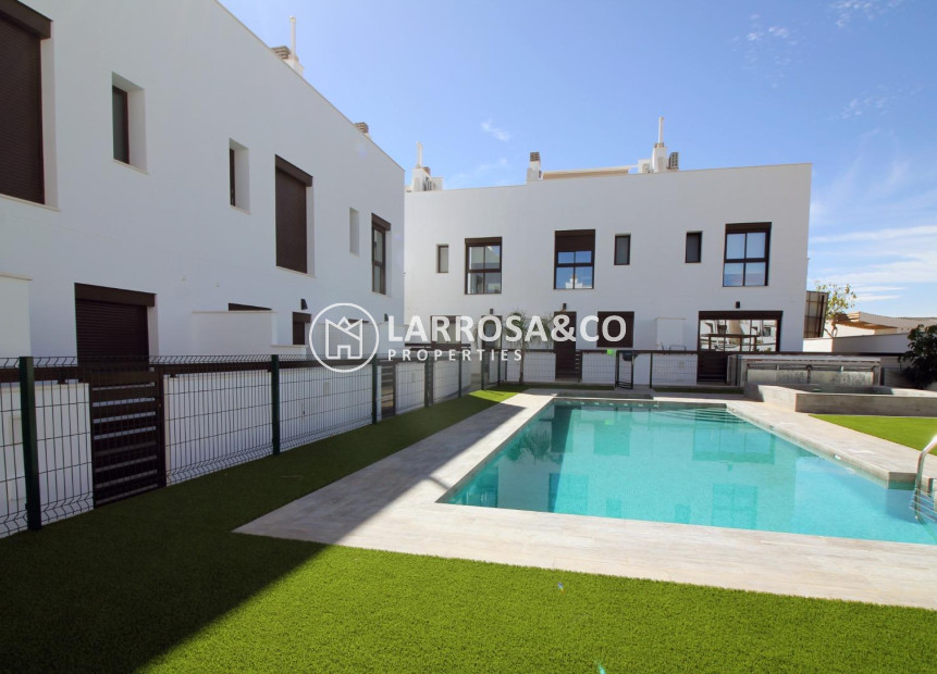 New build - Detached House/Villa - Pilar de la Horadada - parque Andromeda