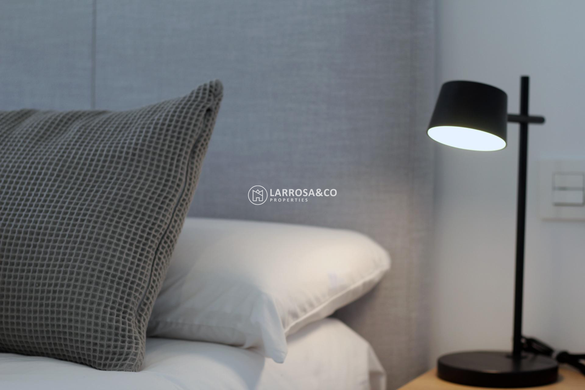 New build - Detached House/Villa - Pilar de la Horadada - parque Andromeda