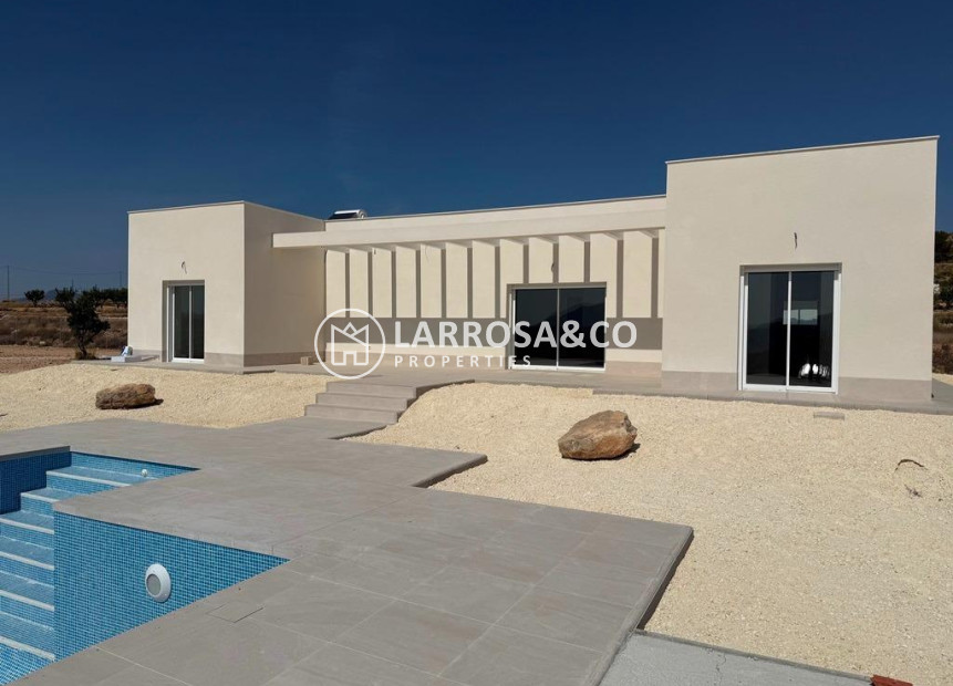 New build - Detached House/Villa - Pinoso - Camino Del Prado