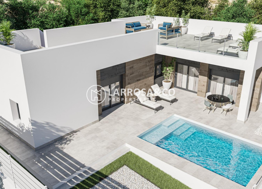 New build - Detached House/Villa - Pinoso - Campo