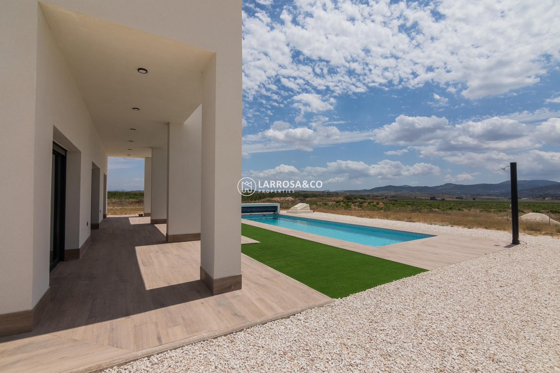 New build - Detached House/Villa - Pinoso - Campo