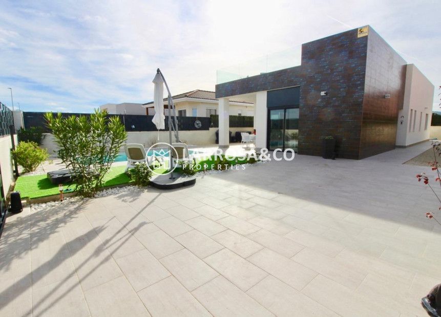 New build - Detached House/Villa - Pinoso - Campo