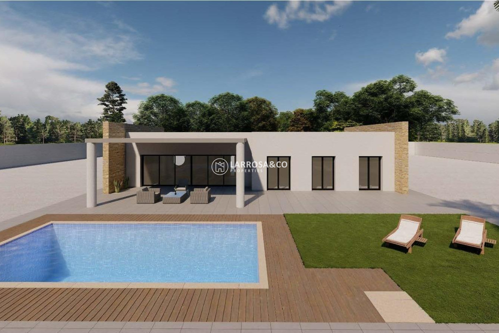 New build - Detached House/Villa - Pinoso - Campo