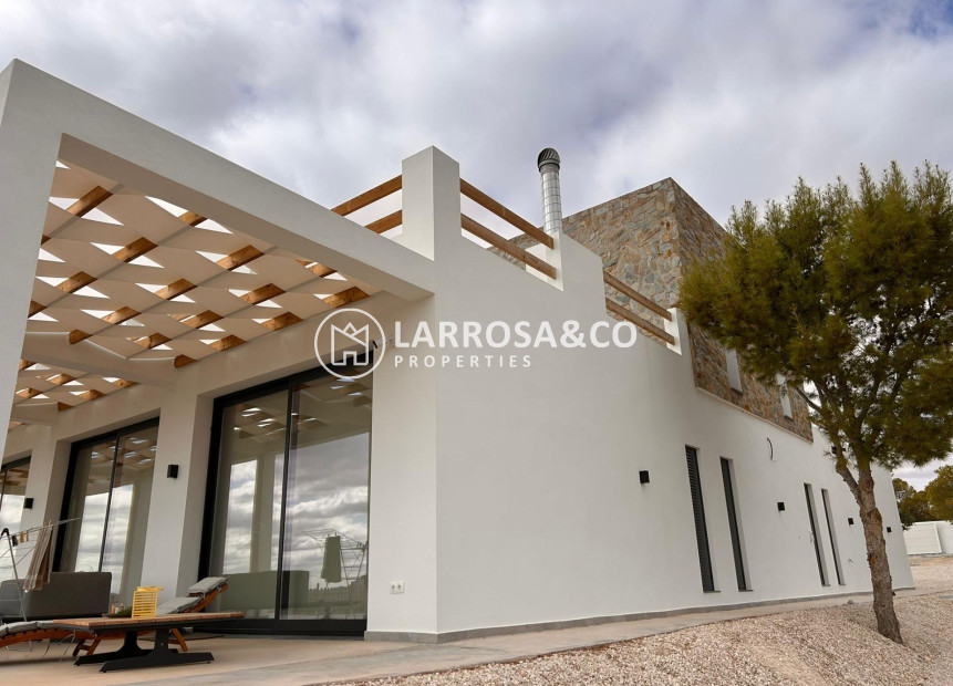 New build - Detached House/Villa - Pinoso - Casas Pastor