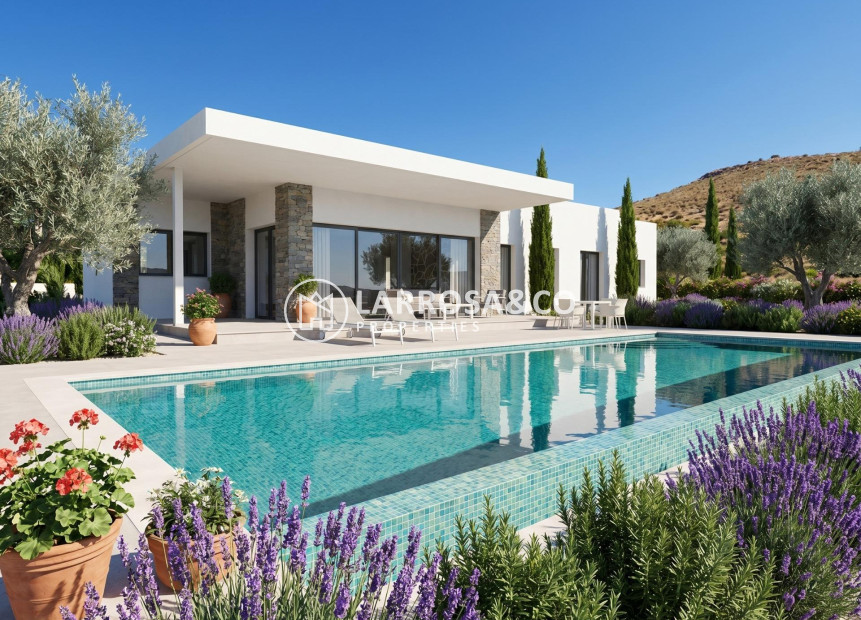 New build - Detached House/Villa - Pinoso - Casas Pastor