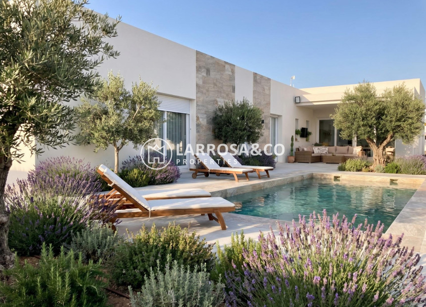 New build - Detached House/Villa - Pinoso - Casas Pastor