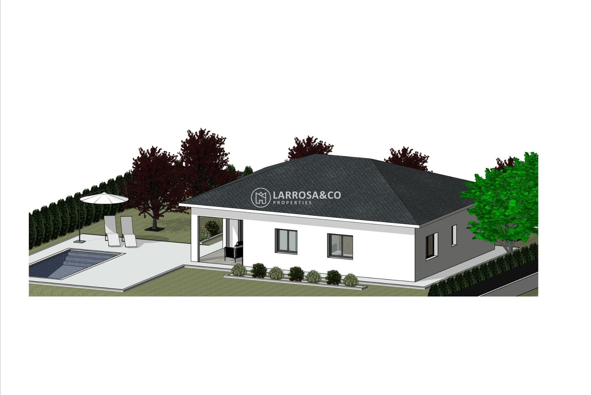 New build - Detached House/Villa - Pinoso - Lel