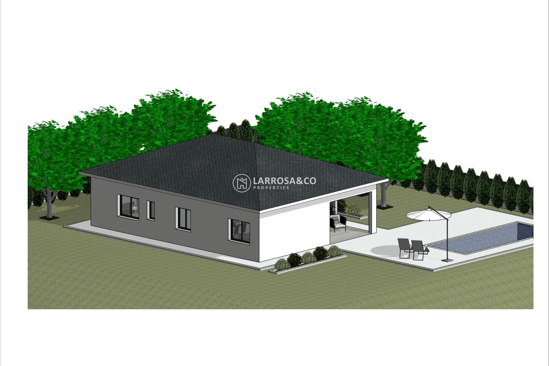 New build - Detached House/Villa - Pinoso - Lel