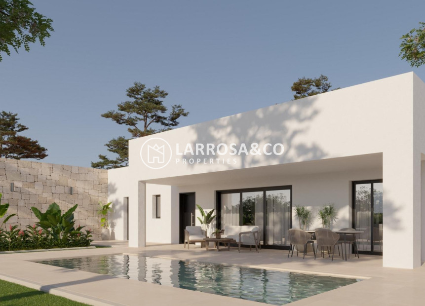 New build - Detached House/Villa - Pinoso - Lel