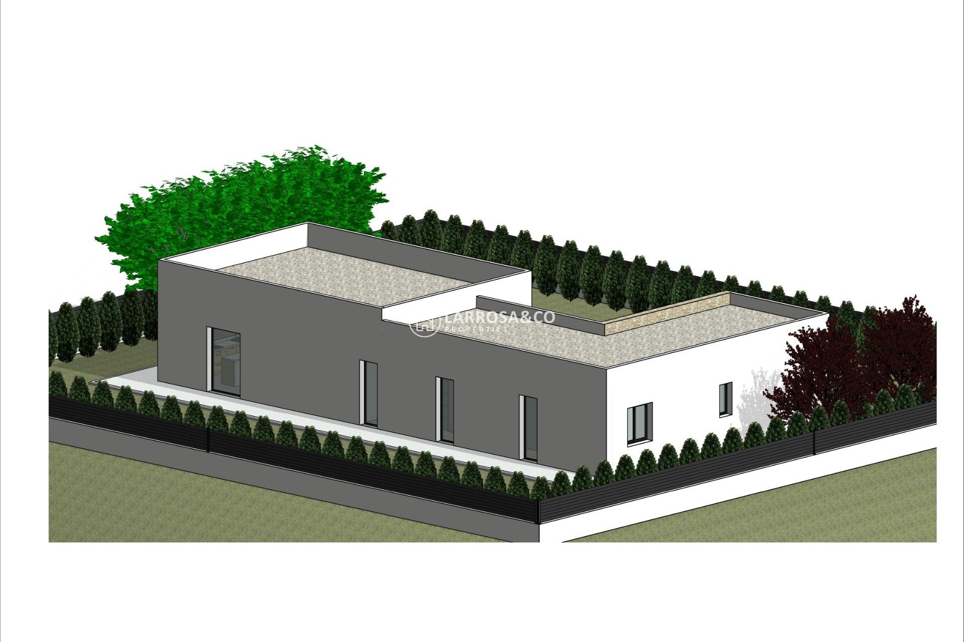 New build - Detached House/Villa - Pinoso - Lel