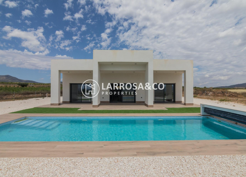 New build - Detached House/Villa - Pinoso - Lel