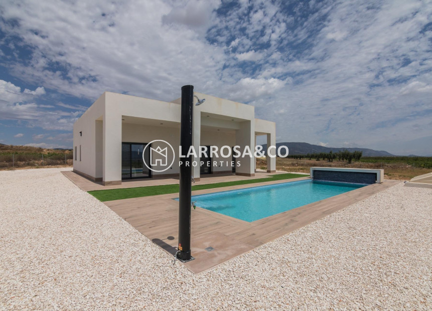 New build - Detached House/Villa - Pinoso - Lel