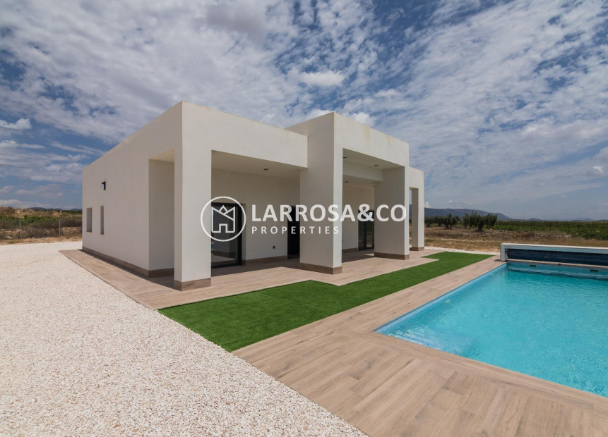 New build - Detached House/Villa - Pinoso - Lel