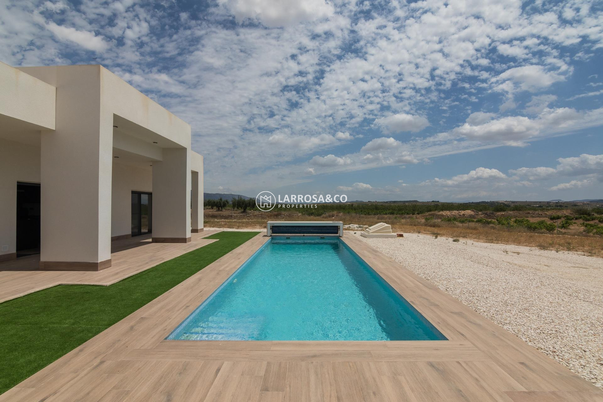 New build - Detached House/Villa - Pinoso - Lel