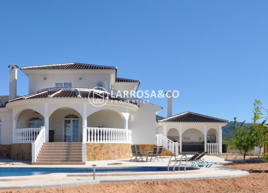 New build - Detached House/Villa - Pinoso - Lel