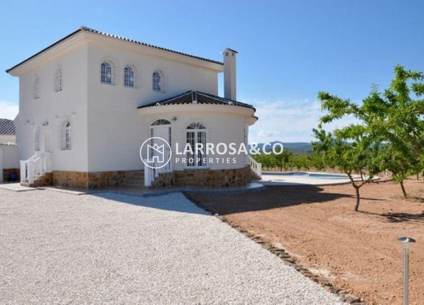 New build - Detached House/Villa - Pinoso - Lel