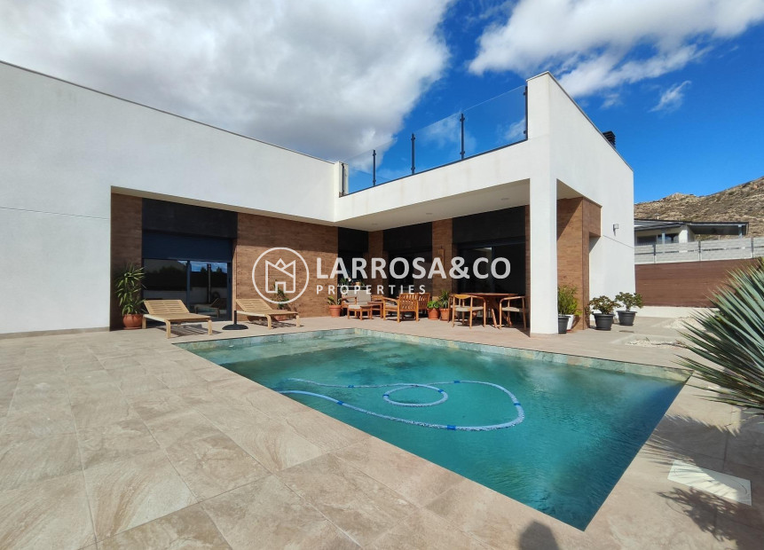 New build - Detached House/Villa - Pinoso - Lel