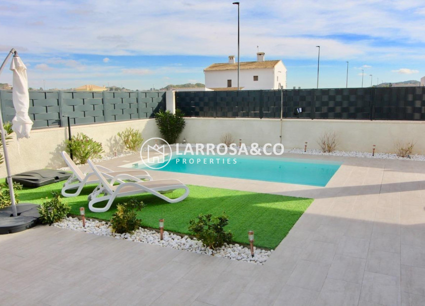 New build - Detached House/Villa - Pinoso - Lel