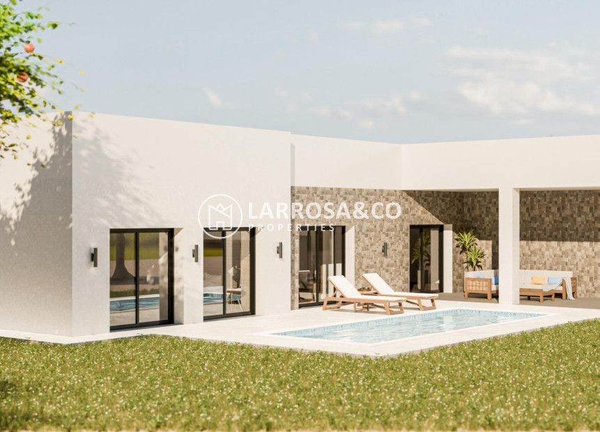 New build - Detached House/Villa - Pinoso - Lel