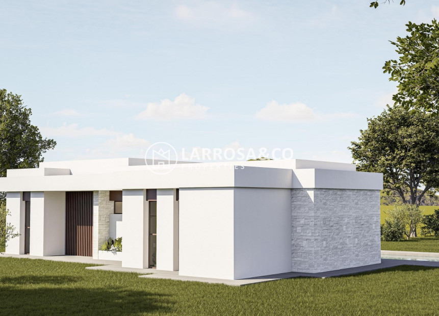 New build - Detached House/Villa - Pinoso - Lel