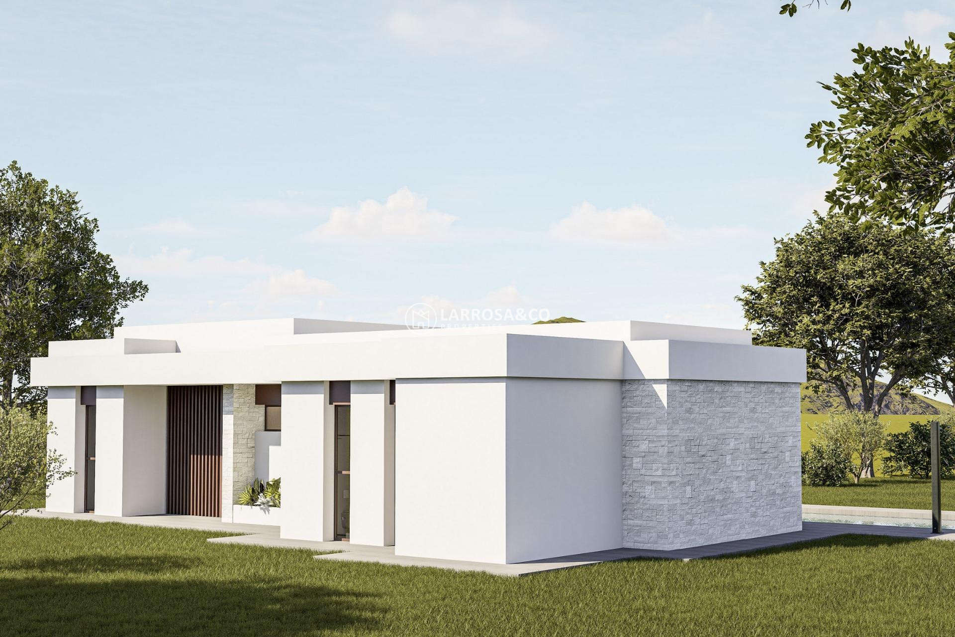 New build - Detached House/Villa - Pinoso - Lel