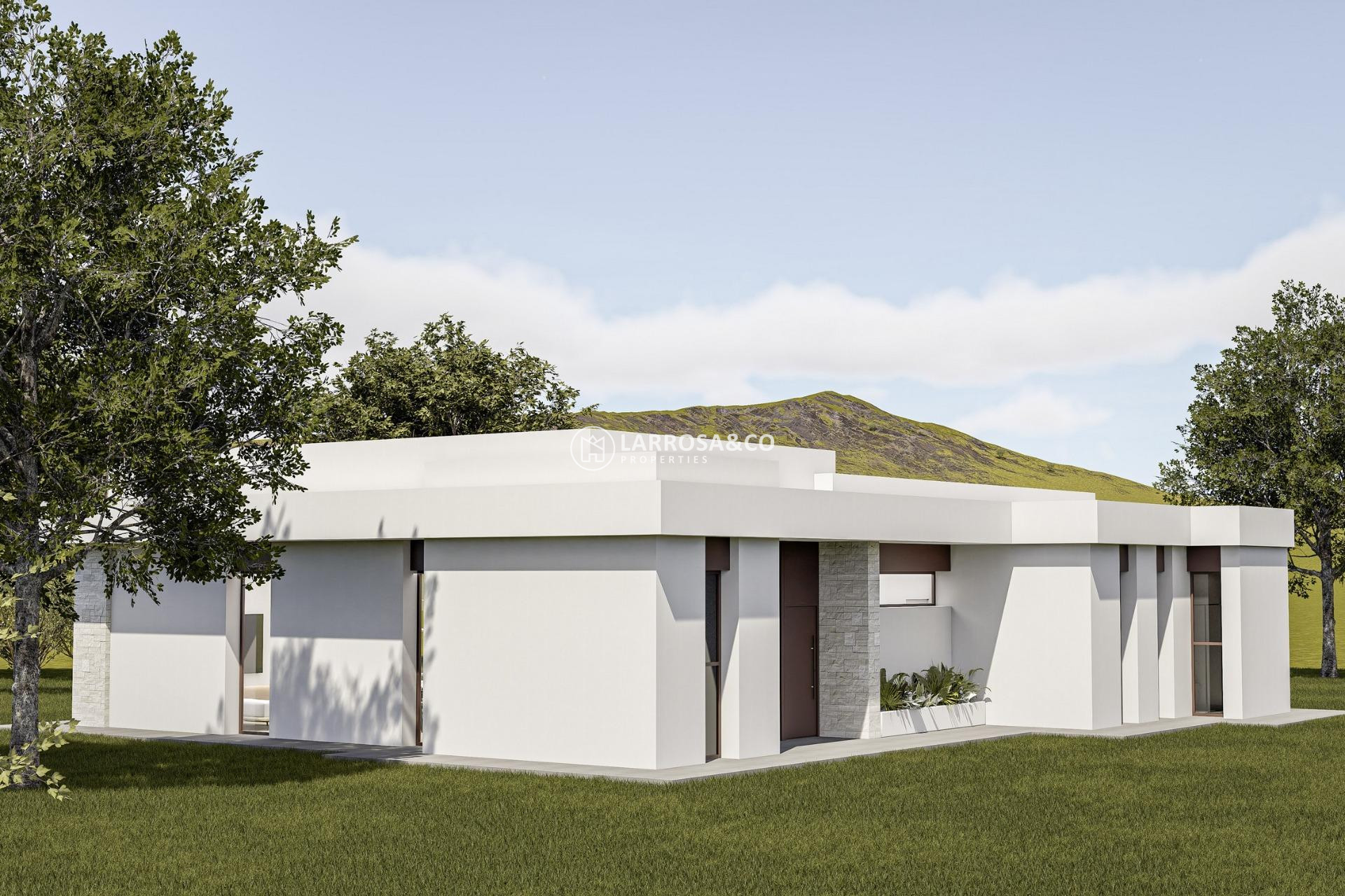 New build - Detached House/Villa - Pinoso - Lel