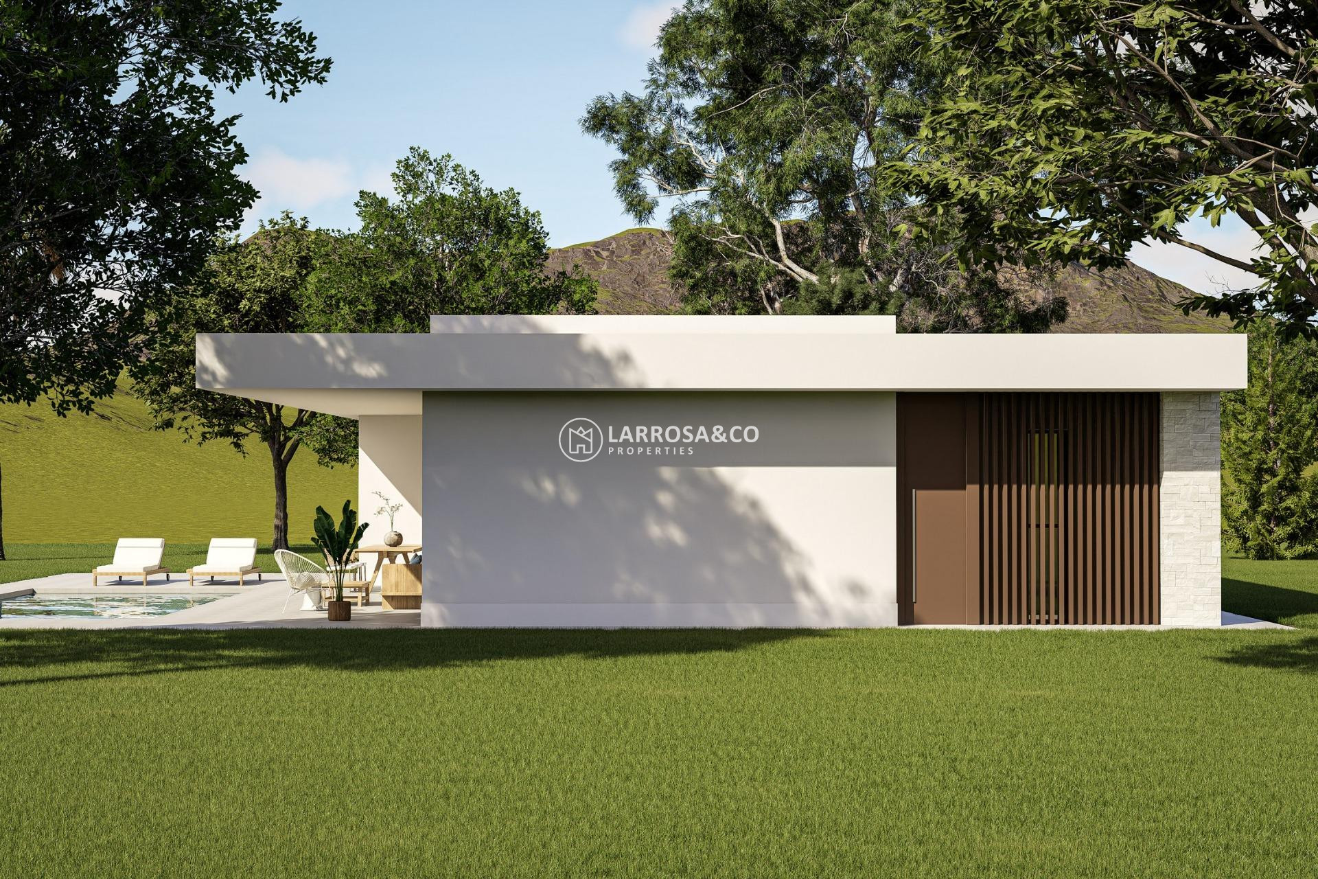 New build - Detached House/Villa - Pinoso - Lel