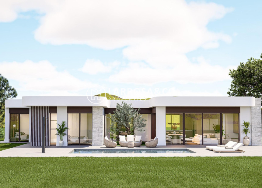 New build - Detached House/Villa - Pinoso - Lel