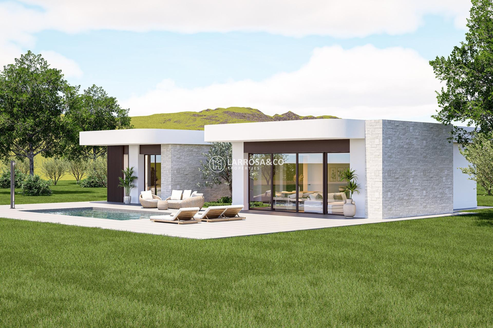 New build - Detached House/Villa - Pinoso - Lel