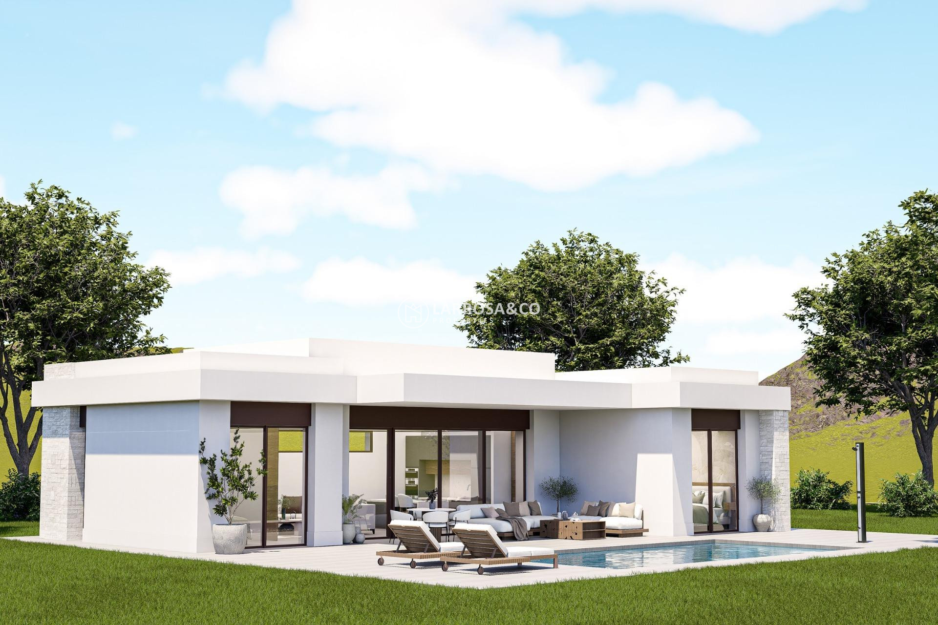 New build - Detached House/Villa - Pinoso - Lel