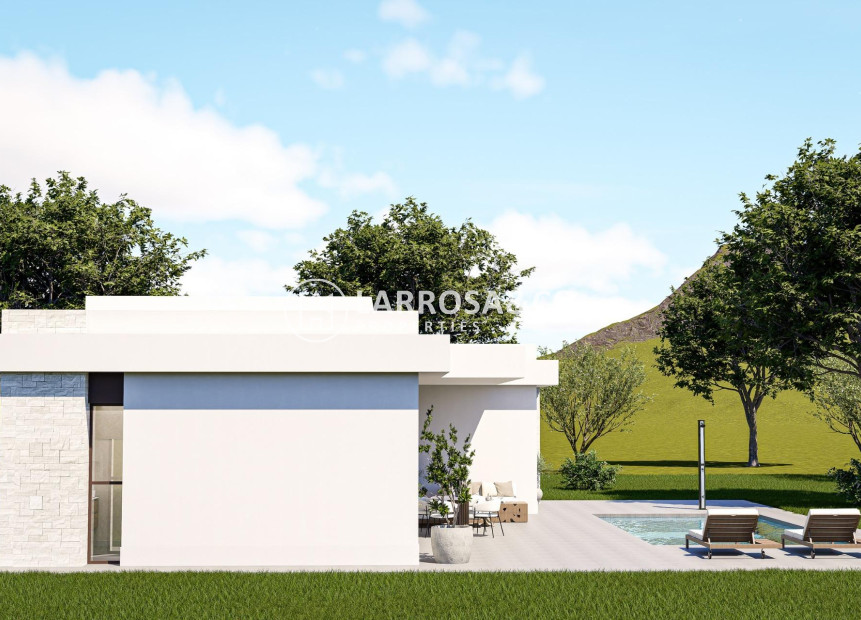 New build - Detached House/Villa - Pinoso - Lel
